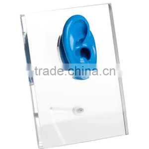Soundlink Hearing Aid Accessories of Acrylic Ear Displays With Silicone Display Ear thumbnail-1