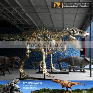 MY Dino-O08 Life Size Fiberglass Dinosaur Skeleton Decoration thumbnail-2
