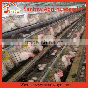 Automatic Chicken Egg Layer Cages Poultry Cage Battery Cage System for Sale thumbnail-2