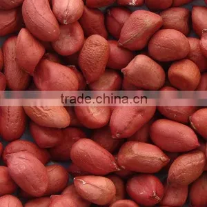 Bold Reddish Peanuts for Sales thumbnail-4