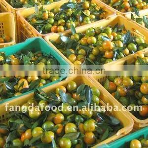 Chinese Baby Mandarin Orange thumbnail-1