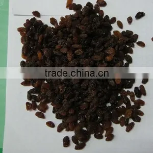 Dried Red Raisin -newcrop thumbnail-1