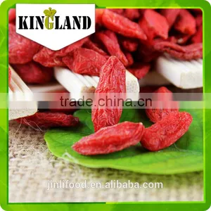 Common Cultivation Type High Quality Certified Organic Goji Berry From Ningxia,China(golden Supplier) thumbnail-3