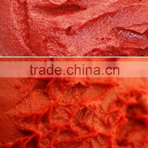 70g Good Taste Canned Tomato Paste thumbnail-4