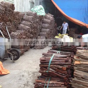 ROUND CUT CINNAMON/ CASSIA thumbnail-6