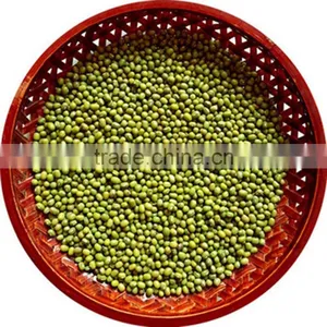 JSX Vietnam Yellow Mung Beans Big and Small Size China Moong Dal thumbnail-5