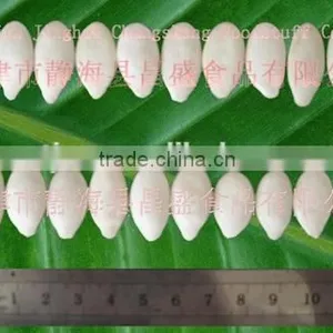 Roasted and Salted Pumpkin Seed (11cm,12cm,13cm) thumbnail-3