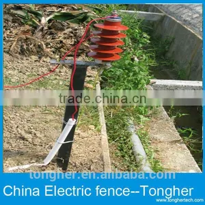 Electric Fences for Dog Animals thumbnail-4
