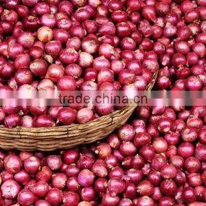 Vietnam Fresh Onion for Kuwait Market thumbnail-2