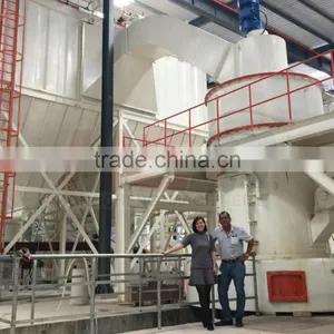 Mexico Clay Grinding Mill / Mining Equipment for Clay Powder Making With Cheap Price thumbnail-2