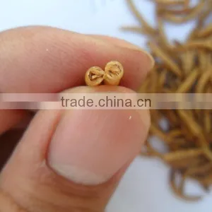 Freeze Dried Mealworm for Backyard Chicken thumbnail-3