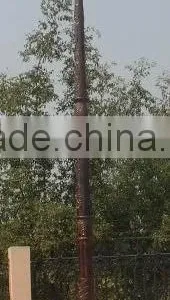 Antique Double Arm Street Lighting Pole Price thumbnail-3