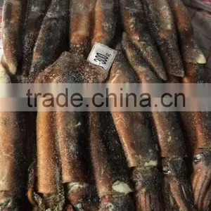 Frozen Whole Round Squid Illex Squid thumbnail-1