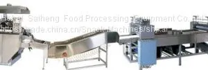 SH-27Fully-Automatic Wafer Production Line(GAS) thumbnail-5