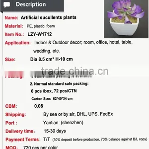 Mini Potted Succulents Plants Factory Selling Mini Artificial Succulents thumbnail-2