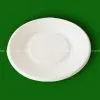 Disposable Bagasse Plates thumbnail-1