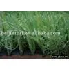 Artificial Turf BN35217110(3tone) thumbnail-1