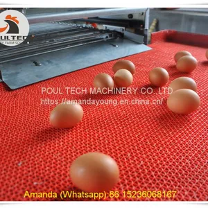 South Africa Poultry Farm Equipment - Battery Chicken Cage & Layer Cage & Chicken Coop & Laying Hen Coop & Laying Hen Cage in Chicken Farm thumbnail-1