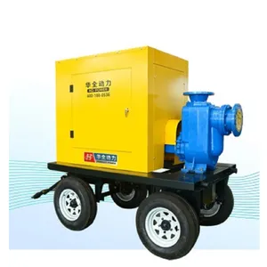 Self Priming Pump thumbnail-5