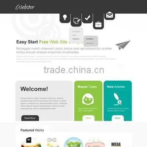 Professional Web Design Company thumbnail-1