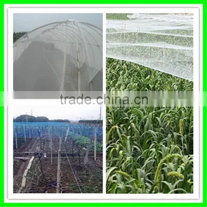 Insect Netting Garden Veggiemesh Organic Net Crop Veg Protection Various Sizes thumbnail-3