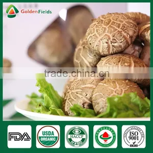 Dried Shiitake Mushrooms,Fresh Shiitake Mushrooms,Mushroom Seeds For Sale thumbnail-3