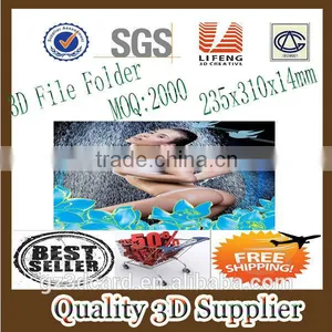 Guangzhou Lifeng 3D Popular A4 PP File Folder thumbnail-1