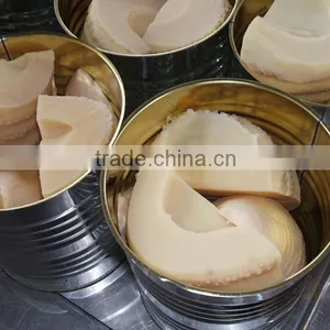 Half Canned Water Bamboo Shoot in 2950gram for Restaurant thumbnail-4