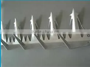 Security Wall Spikes/anti Climb Razor Spikes/manufacturer thumbnail-1