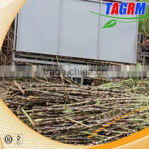 New Condition Brand Product 6BCT-5 Sugarcane Leaf Machine Sugarcane Peeling Machine thumbnail-1