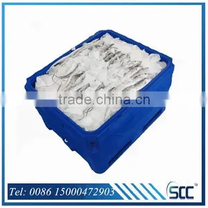 1000L Ocean-going Plastic PE Fish Chest, Fish Box, Fish Bins by Rotomolding thumbnail-2