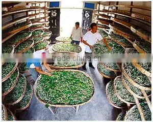 Suzhou Tengxiang Binmao Trade Co., Ltd. company overview - view 2 thumbnail