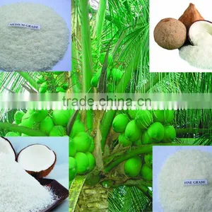 Delicous Taste Perfect Aroma Desiccated Coconut thumbnail-1