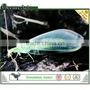 Playground Insect Equipment thumbnail-1