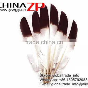 ZPDECOR Hot Selling Plumag Crafts Factory Dyed Brown Tipped Turkey Pointers Quill Large Feathers for Fashion Decorations thumbnail-2
