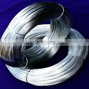 Electro Galvanized Wire thumbnail-1