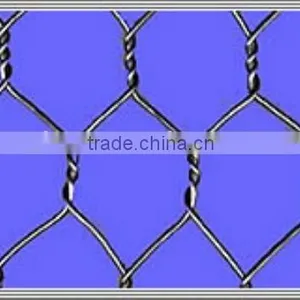 Hot Dipped Galvanized and Stainless Steel Hexagonal Wire Mesh thumbnail-1