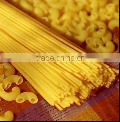 Automatic Spaghetti Equipment thumbnail-5