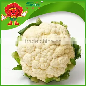 Organic Green Vegetables Fresh Cauliflower From Yunnan thumbnail-1