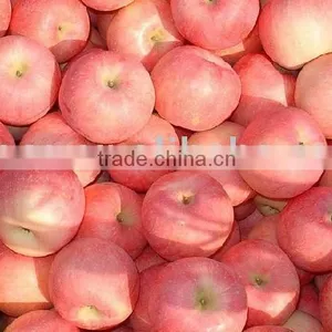 Fuji Apple Fruit From China thumbnail-1