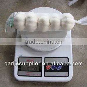 5P Bag pw Garlic 2013 thumbnail-1