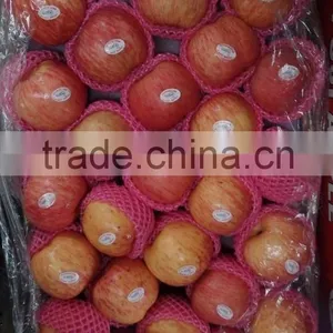 Export Dubai Fuji Apple thumbnail-1