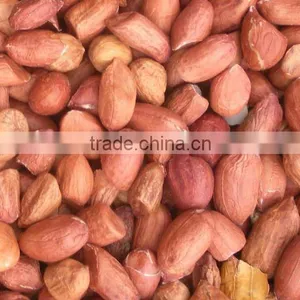 Peanuts/Groundnuts JAVA thumbnail-1