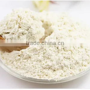 High Quality Frozen Dried Almond Powder / Defatted Almond Flour / Desiccated Super-quality Almond Flour for Body Immune thumbnail-2