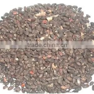 DELINTERED COTTON SEED thumbnail-1