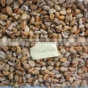 Frozen Mussel Boiled Meat Seafood Price From Seafood Company thumbnail-1