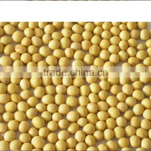 Soy Fiber Non-gmo thumbnail-1