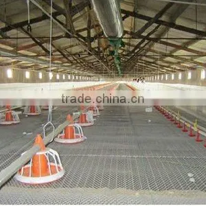 Hot Sale! Poultry Feeding System thumbnail-1