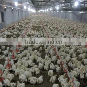 Automatic Chicken Feeder Pan Equipment thumbnail-4