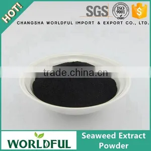 Wordful Foliar Spray Water Soluble Seaweed Extract Fertilizer With High Quality thumbnail-1